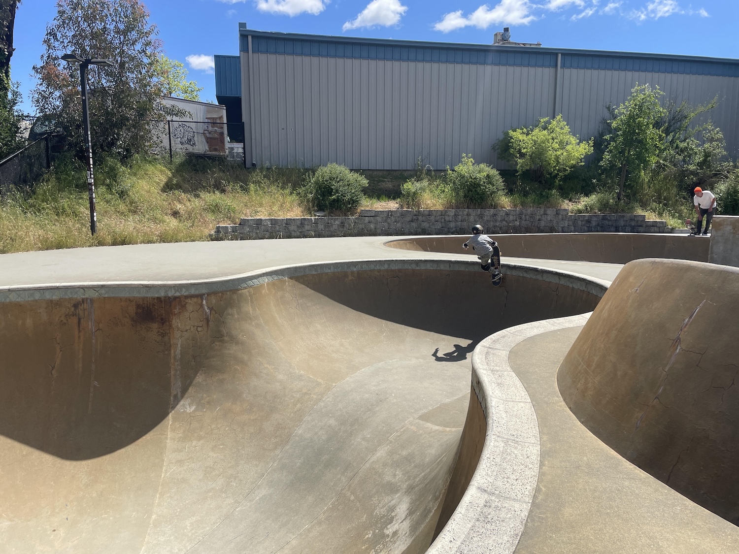 Sebastopol Skatepark